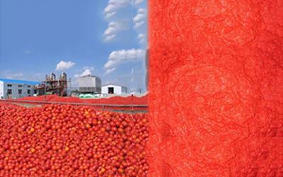 Tomato Paste Production Line