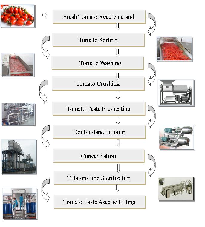 Tomato Paste Production Line