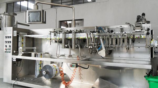 Horizontal Type Pouch Packing Machine