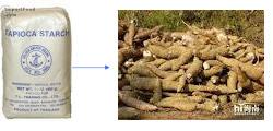 Cassava Processing Equipment