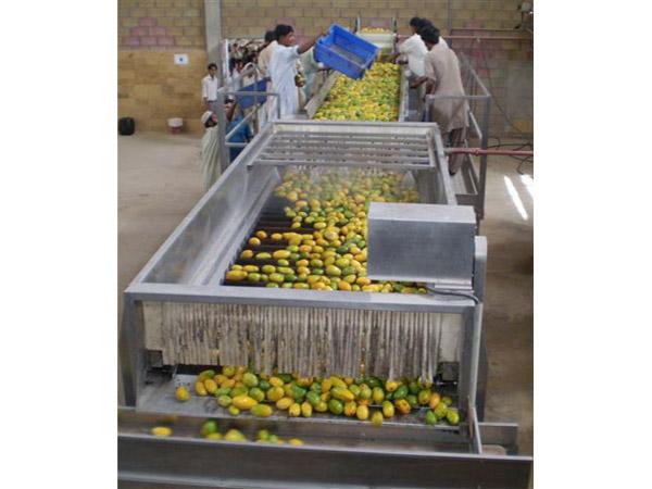 Mango Pulp Processing Line