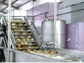 Mango Pulp Processing Line