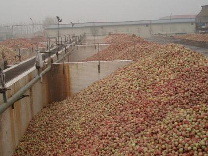 Apple Juice Concentrate Processing Line