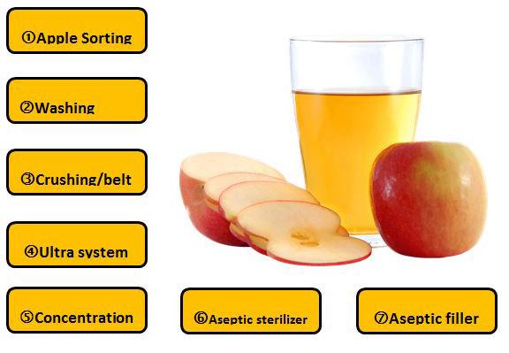 Apple Juice Concentrate Processing Line