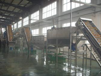 Orange Juice Concentrate Processing Line