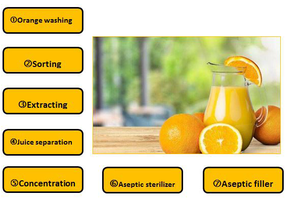 Orange Juice Concentrate Processing Line
