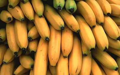 Banana Powder Production Line